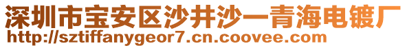 深圳市寶安區(qū)沙井沙一青海電鍍廠