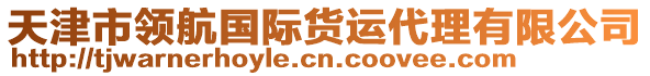 天津市領(lǐng)航國(guó)際貨運(yùn)代理有限公司