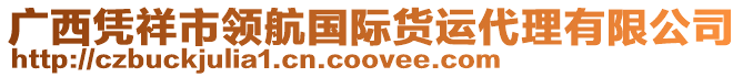 廣西憑祥市領(lǐng)航國(guó)際貨運(yùn)代理有限公司