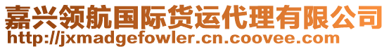 嘉興領(lǐng)航國際貨運代理有限公司