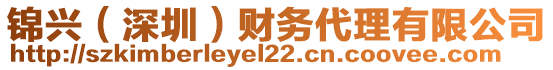 錦興（深圳）財務代理有限公司