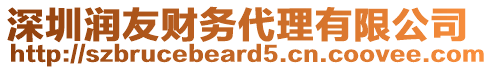 深圳潤友財(cái)務(wù)代理有限公司