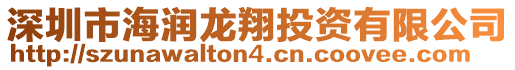 深圳市海潤(rùn)龍翔投資有限公司