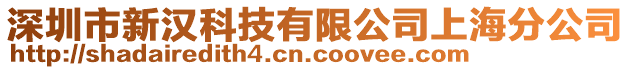 深圳市新漢科技有限公司上海分公司