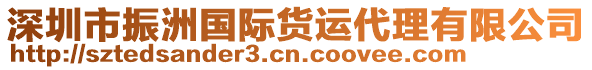 深圳市振洲國際貨運代理有限公司