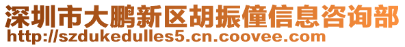 深圳市大鵬新區(qū)胡振僮信息咨詢部