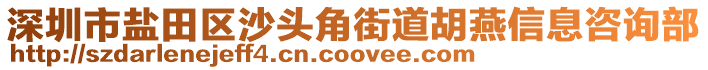 深圳市鹽田區(qū)沙頭角街道胡燕信息咨詢部