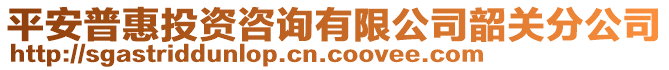 平安普惠投資咨詢有限公司韶關(guān)分公司