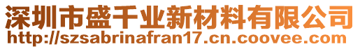 深圳市盛千業(yè)新材料有限公司