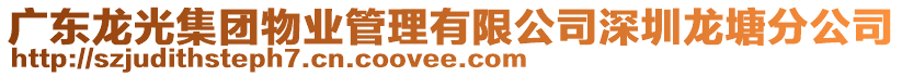 廣東龍光集團(tuán)物業(yè)管理有限公司深圳龍?zhí)练止? style=