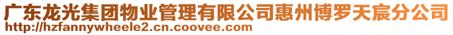 廣東龍光集團(tuán)物業(yè)管理有限公司惠州博羅天宸分公司