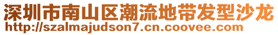 深圳市南山區(qū)潮流地帶發(fā)型沙龍