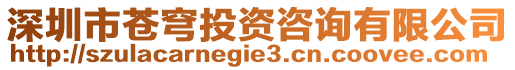 深圳市蒼穹投資咨詢有限公司