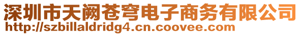 深圳市天闕蒼穹電子商務(wù)有限公司