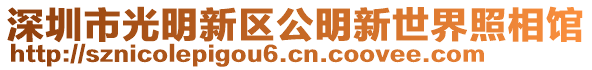 深圳市光明新區公明新世界照相館