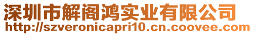 深圳市解閣鴻實業有限公司