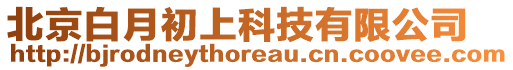 北京白月初上科技有限公司