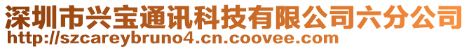 深圳市興寶通訊科技有限公司六分公司