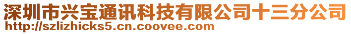 深圳市興寶通訊科技有限公司十三分公司