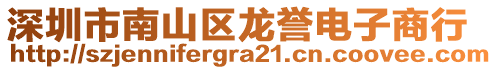 深圳市南山區(qū)龍譽(yù)電子商行