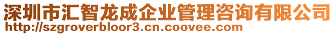 深圳市匯智龍成企業(yè)管理咨詢有限公司