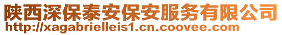 陜西深保泰安保安服務有限公司