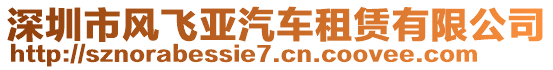 深圳市風(fēng)飛亞汽車租賃有限公司