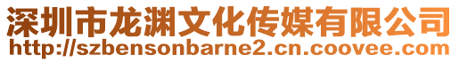 深圳市龍淵文化傳媒有限公司