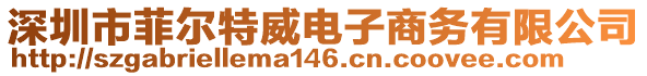 深圳市菲爾特威電子商務(wù)有限公司