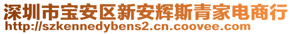 深圳市宝安区新安辉斯青家电商行