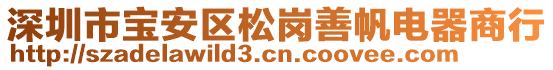 深圳市寶安區(qū)松崗善帆電器商行