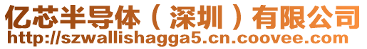 億芯半導(dǎo)體（深圳）有限公司