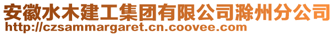 安徽水木建工集团有限公司滁州分公司