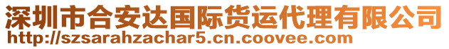 深圳市合安達(dá)國(guó)際貨運(yùn)代理有限公司