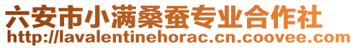 六安市小滿桑蠶專業(yè)合作社