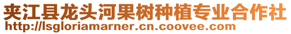 夾江縣龍頭河果樹種植專業(yè)合作社