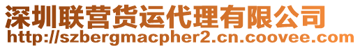 深圳聯(lián)營(yíng)貨運(yùn)代理有限公司