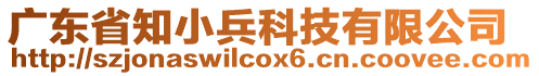 廣東省知小兵科技有限公司