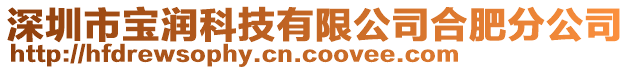 深圳市寶潤科技有限公司合肥分公司