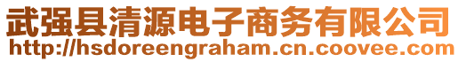 武強(qiáng)縣清源電子商務(wù)有限公司