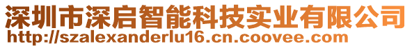 深圳市深啟智能科技實(shí)業(yè)有限公司