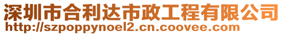 深圳市合利达市政工程有限公司