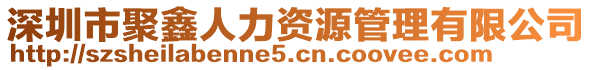 深圳市聚鑫人力資源管理有限公司