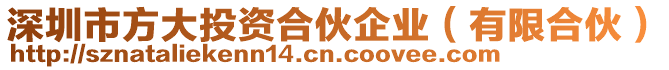 深圳市方大投資合伙企業(yè)（有限合伙）