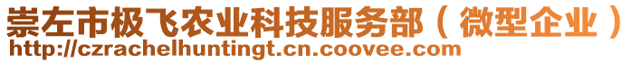 崇左市極飛農(nóng)業(yè)科技服務(wù)部（微型企業(yè)）