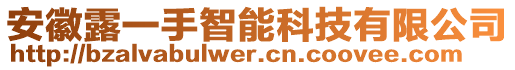 安徽露一手智能科技有限公司