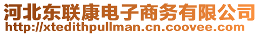 河北東聯(lián)康電子商務(wù)有限公司