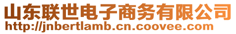 山東聯(lián)世電子商務(wù)有限公司