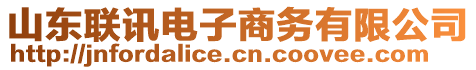 山東聯(lián)訊電子商務(wù)有限公司