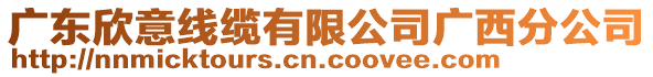 廣東欣意線纜有限公司廣西分公司